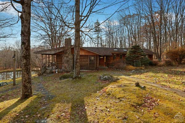 253 TWINSHAVEN RD, NAPANOCH, NY 12458 - Image 1