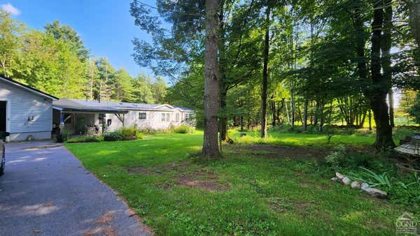 640 DENT RD, PRATTSVILLE, NY 12468 - Image 1