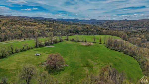 0 IRON HILL ROAD, AUSTERLITZ, NY 12017, photo 5 of 15