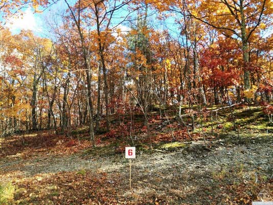 6 STONEGATE OFF BIRCH HILL ROAD # LOT 6, COPAKE, NY 12521, photo 2 of 6