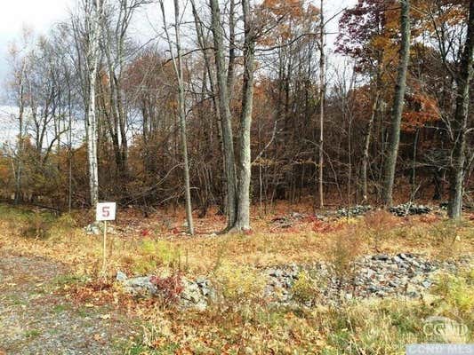 5 STONEGATE OFF BIRCH HILL ROAD # LOT 5, COPAKE, NY 12521, photo 3 of 5