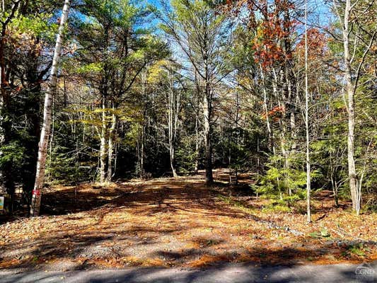 557 CAMPBELL ROAD # LOT 2, ASHLAND, NY 12407 - Image 1