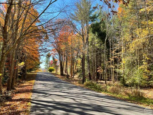 497 CAMPBELL # LOT 4, ASHLAND, NY 12407 - Image 1