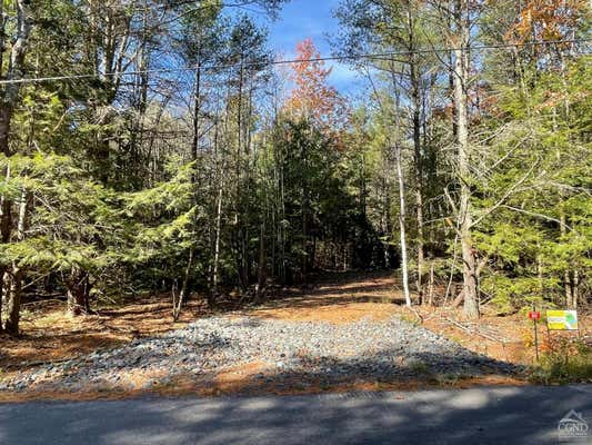 511 CAMPBELL # LOT 3, ASHLAND, NY 12407 - Image 1