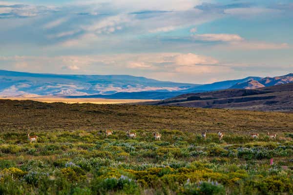 TR 107 WILD HORSE RANCH, LARAMIE, WY 82070 - Image 1