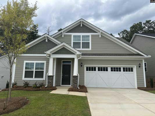 2676 PAWTUCKET WAY, CHAPIN, SC 29036 - Image 1