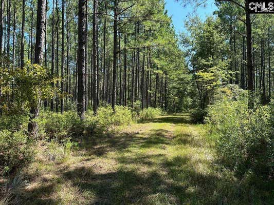 MT. PISGAH ROAD, BRANCHVILLE, SC 29432, photo 3 of 22