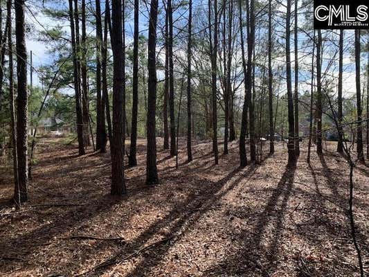 E/S PINE GROVE ROAD, BLYTHEWOOD, SC 29016 - Image 1