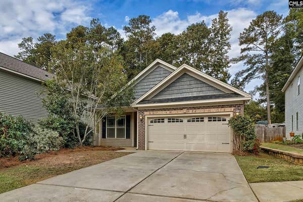 53 REVELSTONE WAY, CHAPIN, SC 29036 - Image 1