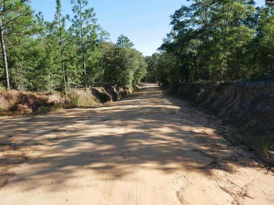 CORNER OF RAYS POND AND MARY RAWLS ROAD, WAGENER, SC 29164 - Image 1