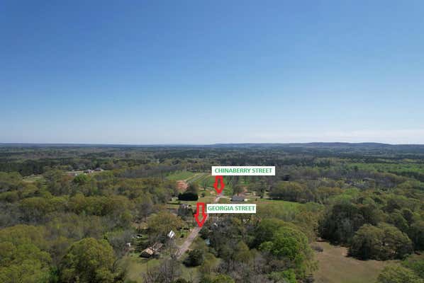 LOT 3 CHINABERRY STREET, PINE MOUNTAIN, GA 31822, photo 3 of 9