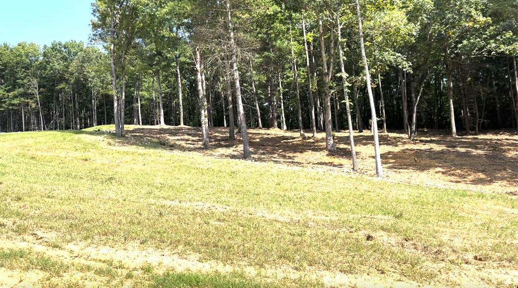 LOT 3 RIDGE DRIVE, MORGANTON, GA 30560, photo 1 of 6