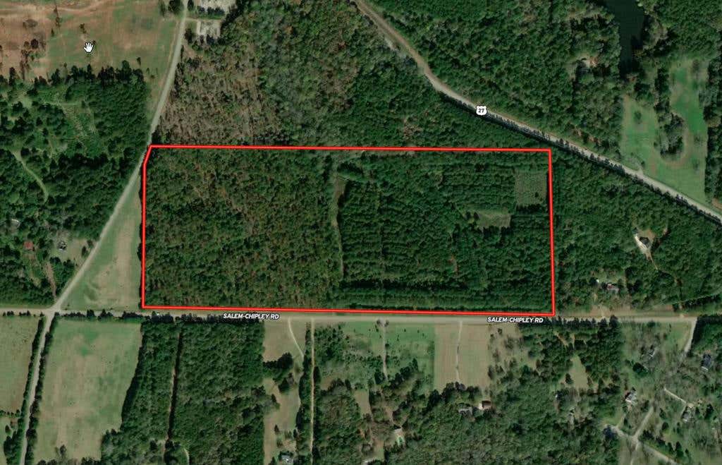 59.95 AC SALEM CHIPLEY ROAD, PINE MOUNTAIN, GA 31822, photo 1 of 7