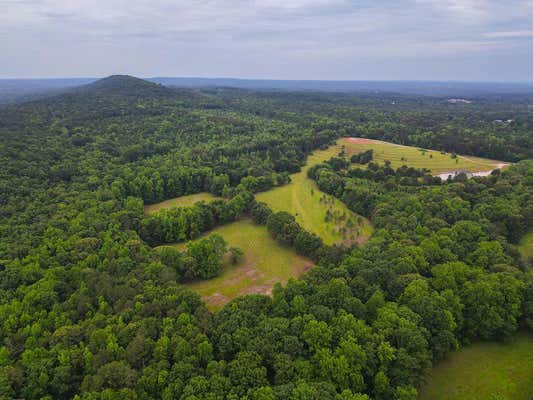 85B BLACKJACK MOUNTAIN RD, BOWDON, GA 30108 - Image 1