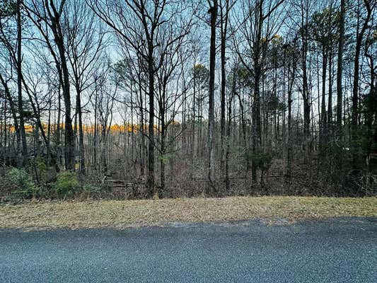 18 TURKEY TRL, FORTSON, GA 31808 - Image 1