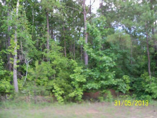 0 OLD LOUVALE ROAD, CUSSETA, GA 30805 - Image 1