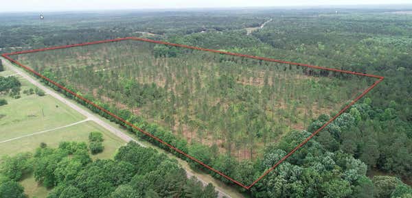 59.95 AC SALEM CHIPLEY ROAD, PINE MOUNTAIN, GA 31822, photo 2 of 7