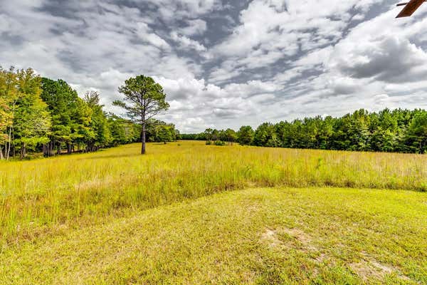 0 FORREST ROAD, HOGANSVILLE, GA 30230, photo 2 of 8