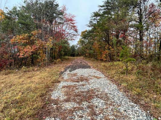 0 BIGLEY RIDGE ROAD, LONG BOTTOM, OH 45743, photo 5 of 39