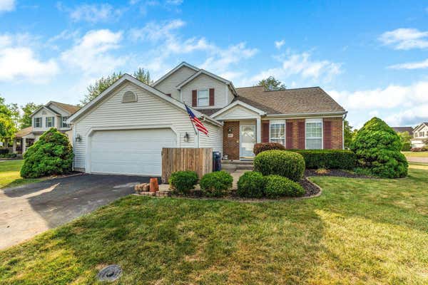 8382 HAINES CT, LEWIS CENTER, OH 43035 - Image 1