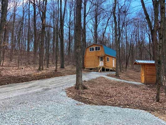 3130 POTTS HILL ROAD # (BLUE JAY CABIN AT POTTS HILL), BAINBRIDGE, OH 45612 - Image 1