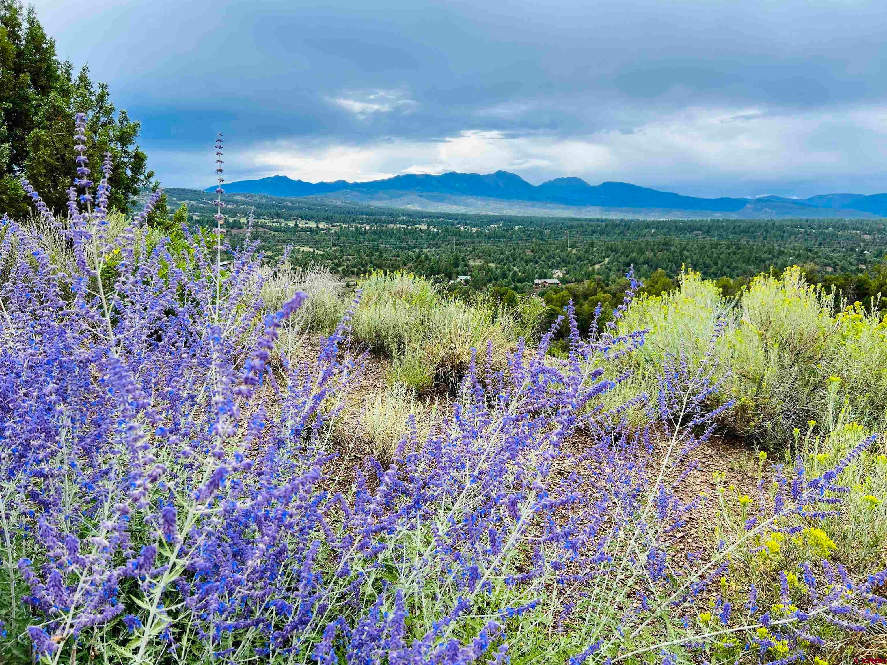Hesperus, Colorado, 81326, United States, 3 Bedrooms Bedrooms, ,3 BathroomsBathrooms,Residential,Active,1941129