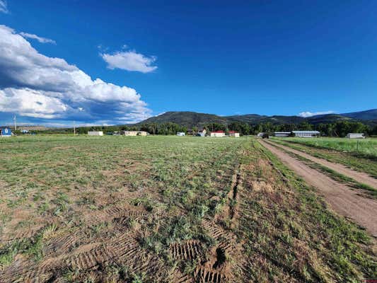 TBD ORONDOA RD, SOUTH FORK, CO 81154, photo 2 of 4