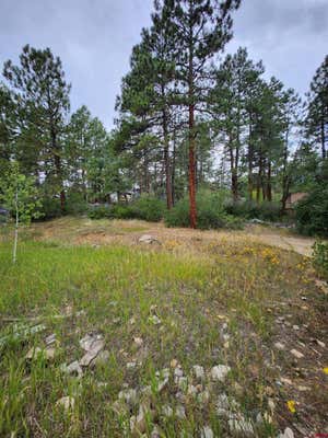 59 HOLLY HOCK TRL, DURANGO, CO 81303 - Image 1