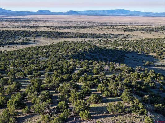 000 OMEGA ROAD, QUEMADO, NM 87829 - Image 1