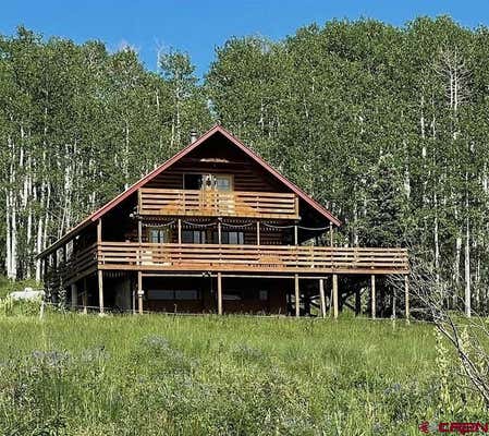 41014 BEAVER TRAIL LN, PAONIA, CO 81428 - Image 1