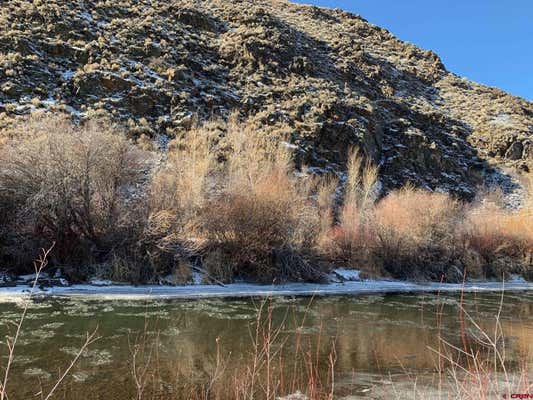 96 TOMICHI CREEK LOOP, GUNNISON, CO 81230, photo 3 of 11