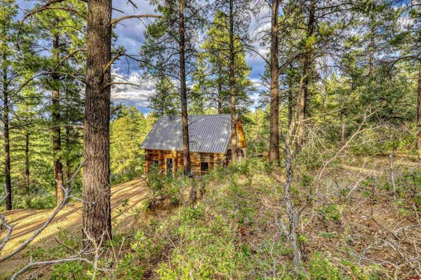 188 STARLIGHT PL, PAGOSA SPRINGS, CO 81147 - Image 1