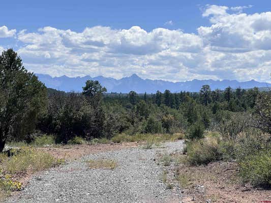 450 BARNES POINT DR, MONTROSE, CO 81403, photo 2 of 20