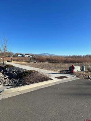 LOT 21 MAYFLY DRIVE, MONTROSE, CO 81401 - Image 1