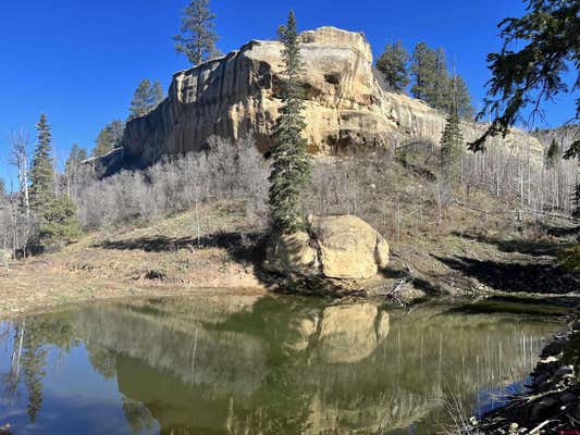 000 GROUNDHOG RESERVOIR ROAD # POND ROCK ELK & CATTLE, DOLORES, CO 81323, photo 5 of 35