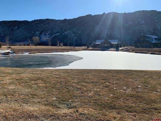 344 TOMICHI CREEK LOOP, GUNNISON, CO 81230, photo 3 of 11