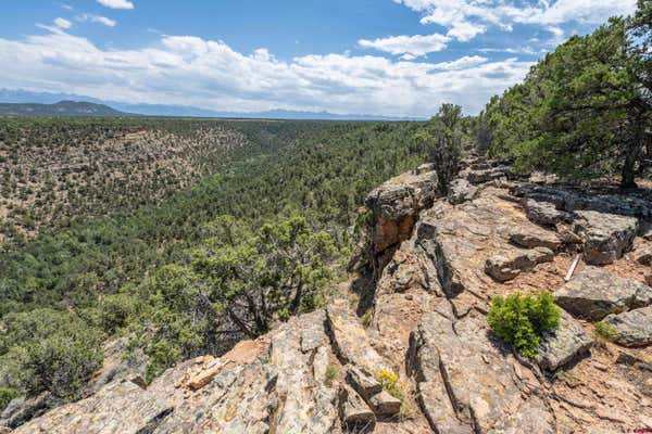 277 COTTON LN, MONTROSE, CO 81403, photo 1 of 34