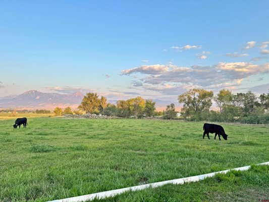 10253 3250 RD, HOTCHKISS, CO 81419, photo 3 of 35