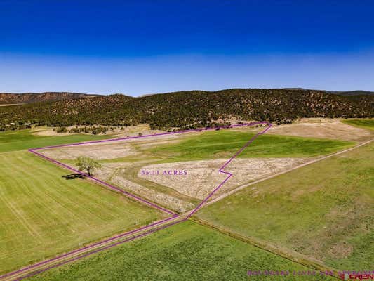 TBD BOSTWICK PARK ROAD, MONTROSE, CO 81403 - Image 1