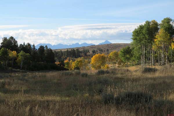 TBD ELK MEADOWS GOVERNMENT SPRINGS ROAD ROADS, MONTROSE, CO 81403, photo 2 of 14