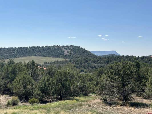 TBD ROAD 41.4, MANCOS, CO 81328 - Image 1