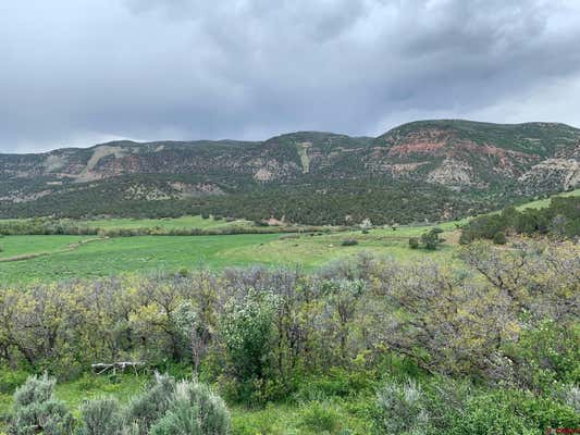 TBD COUNTY RD 711 ROAD, PAONIA, CO 81428 - Image 1