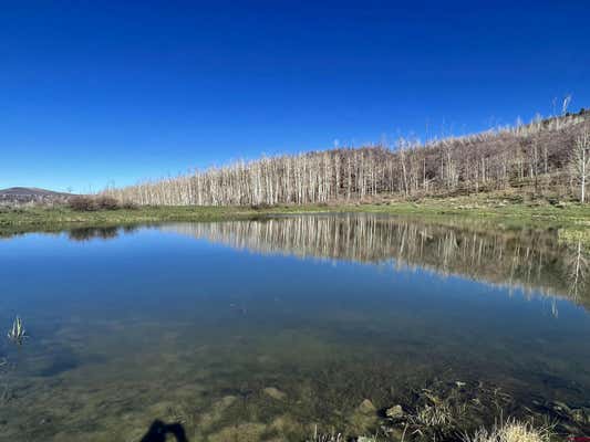 000 GROUNDHOG RESERVOIR ROAD # POND ROCK ELK & CATTLE, DOLORES, CO 81323, photo 4 of 35