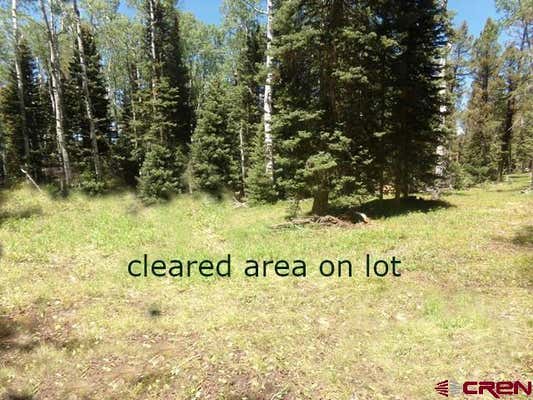 185 ASPEN TRL, CIMARRON, CO 81220, photo 4 of 7