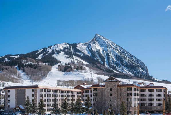 6 EMMONS RD # 579, CRESTED BUTTE, CO 81225 - Image 1