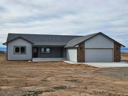 20194 LILAC CT, ECKERT, CO 81418, photo 1 of 19