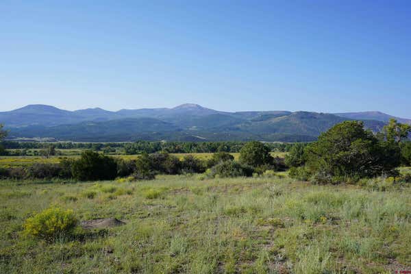 720 E PFEIFFER LOOP, SOUTH FORK, CO 81154 - Image 1