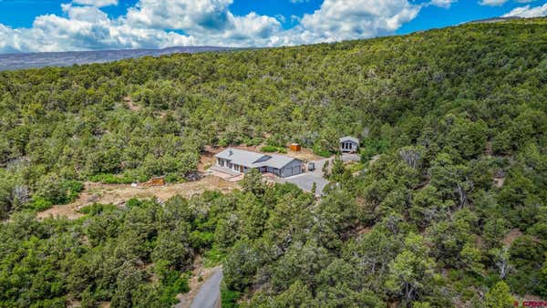 19701 SAN JUAN VISTA RD, CEDAREDGE, CO 81413 - Image 1