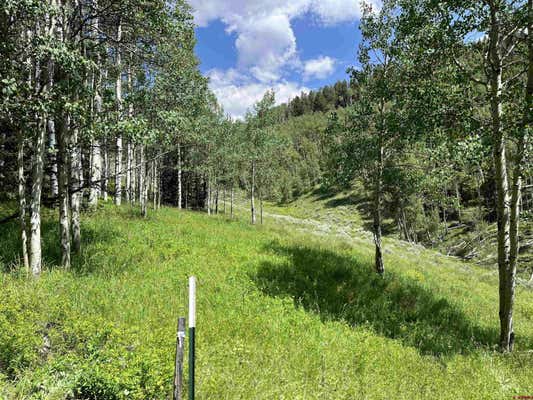 TBD ALAMANDA LANE, PITKIN, CO 81241 - Image 1