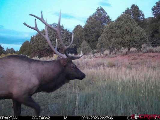 TBD HWY 595, LINDRITH, NM 87029 - Image 1